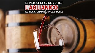 L Aglianico Il Barolo del Sud [upl. by Aleb]