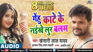 आ गया Khesari Lal Yadav का सबसे बड़ा चईता गीत  Gehu Kate Ke Naikhe Lur  Chaita Song [upl. by Rayford]