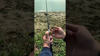 Fishing Angling CatchAndRelease FishingLife FishingTips FishingGear OutdoorAdventure fishing [upl. by Sheeree]