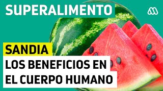 Los múltiples beneficios de la Sandía en el cuerpo humano [upl. by Ynove]