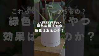 【忖度なし】緑色の活力剤、これって意味あるの？観葉植物のある暮らし 観葉植物 観葉植物インテリア 観葉植物初心者 観葉植物育て方 活力剤 [upl. by Bamby]