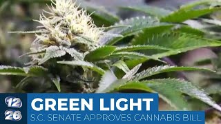 SC Senate approved medical marijuana bill [upl. by Ak]