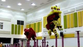 ISP KL  Khuan Loke Lion Dance 2014 [upl. by Gnilrad81]