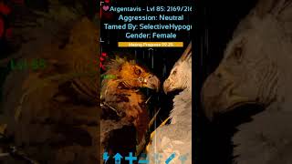 ARGENTAVIS BREEDINGARK MOBILE beats arksurvivalevolved mobile ark hiphop instrumental dino [upl. by Baptist709]