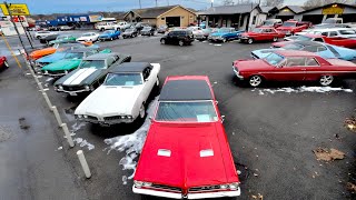 American Muscle Car Lot Inventory Walk Around 12324 Maple Motors NEW Update USA Dealer For Sale [upl. by Norym]