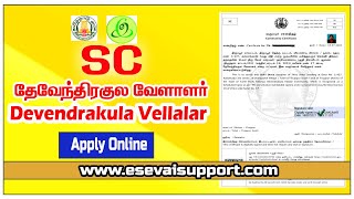 Devendrakula Vellalar Apply Online Tamil  SC  New Update  eSevai  Community Certificate  CSC [upl. by Rusty]