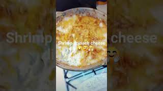 My mom made shrimp crab spinach and cheese dip and it was a 1010 PRINCECHARM [upl. by Lebatsirhc]