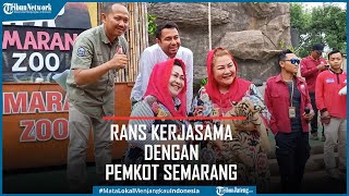 Rans Entertainment Kerjasama Dengan Pemkot Kembangkan Semarang Zoo [upl. by Rohclem796]