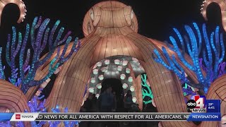 Loveland Living Planet Aquarium Lantern Festival [upl. by Jorin344]