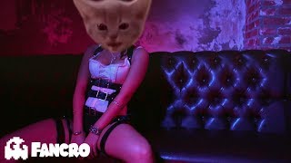 Becky G  Mayores Bad Bunny  Cover Gatos [upl. by Ydda333]