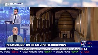 Michel Drappier Maison de Champagne Drappier Un bilan positif pour le champagne en 2022 [upl. by Enrol462]