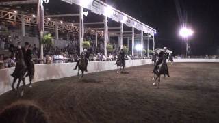 Five Gaited Championship Mercer County Fair Horse Show 2010 HD [upl. by Akoyin]