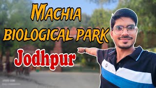 Machia park tour 🐯  Machia biological park jodhpur  tiger Zoo vlog kaylanalake jodhpur [upl. by Clardy]