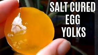 How To Make Salt Cured Egg Yolks  Preserving Farm Fresh Eggs  Cured Egg Yolks [upl. by Hazeefah]