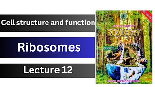 ribosomes  cell structure and function  class 11 biology Sindh board new book [upl. by Lawler]