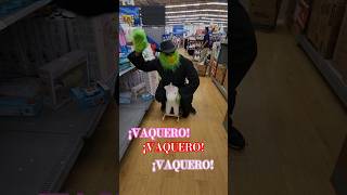 quotGrinch goes full vaquero grinch vaquerostyle holidaycowboy [upl. by Noterb]