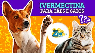 IVERMECTINA pra Cachorros e Gatos Saiba mais sobre a Popular IVERMECTINA e sua utilização nos Pets [upl. by Niltiak640]