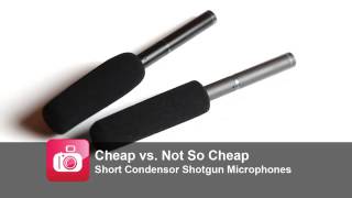 Microphone Comparison Cheap vs Not so Cheap Shotgun Microphones [upl. by Afihtan]