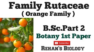 Family Rutaceae Rehans Biology रूटेसी Citrus family Botany 1st BScPart2 Botany 1st paper [upl. by Daney]