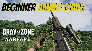 Grayzone Warfare Beginners Ammo Guide [upl. by Mountfort183]