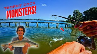 Catching TROPHY Fish Under Docks [upl. by Janine109]