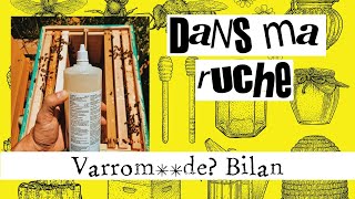 Retour sur varromd traitement contre varroa  plutôt décevant [upl. by Lenora89]