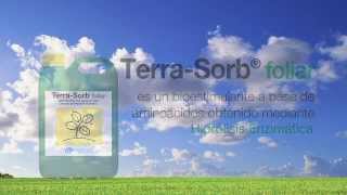 TerraSorb foliar El aliado perfecto para combatir el estrés [upl. by Dragde]