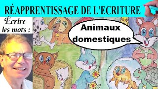 Réapprentissage de l’écriture  Vocabulaire des animaux domestiques [upl. by Ahsile330]