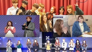 PART 2 Kriesha Chu 크리샤츄 with Other IdolsArtists Super Junior SNSD JBJ Ft Island etc [upl. by Annavahs]