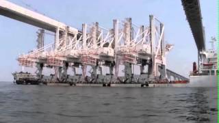 Cranes Under Chesapeake Bay Bridge [upl. by Ardnaek622]