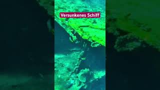 Versunkenes Schiff in Ägypten Sharm Elsheikh africa travel water ship old iphone love [upl. by Atteloiv]