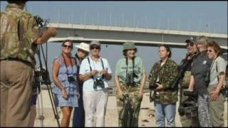 Pelican Island Audubon Society Basic Birdingmp4 [upl. by Harewood]