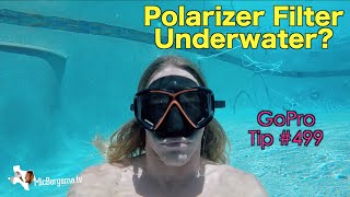 Can Polarizer Filter Work Underwater GoPro Tip 499  MicBergsma [upl. by Anerev]