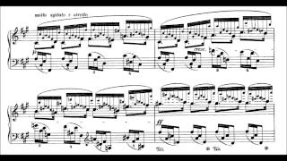 Chopin 24 Preludes Op28 Blechacz [upl. by Jenny]