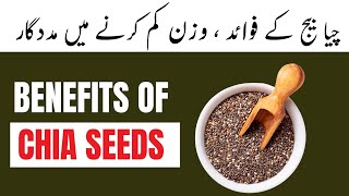 What are the BENEFITS of CHIA SEEDS Chia Pudding Recipe  SUPER FOOD SERIES  Part 1 [upl. by Haelat]