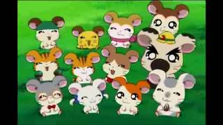 Hamtaro Birthday Tribute [upl. by Asen]