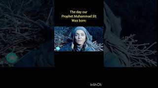 the day our prophet Muhammad ﷺ was born subscribe like share comment [upl. by Bury]