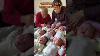 The cute septuplets caught on camera got so hot that they cried very sadly cutebabyandcutepet [upl. by Keelin]