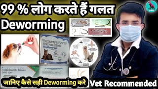 99  लोग करते है गलत Deworming 🤦‍♂️  जानिए 100  Successful Deworming कैसे करे   In Hindi dogs [upl. by Janey462]