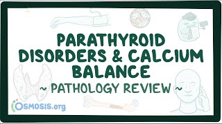 Parathyroid disorders and calcium balance Pathology Review [upl. by Hara]