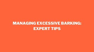 Dog Behaviourist Episode 1  Excessive Barking [upl. by Attelra]