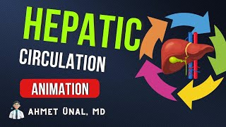 ♻️ HEPATIC BLOOD amp BILE CIRCULATION ANIMATION JUST 1 MINUTE [upl. by Balac]