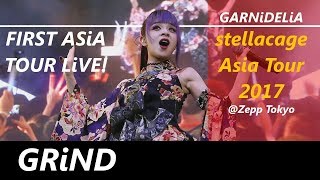 GARNiDELiA stellacage Asia Tour 2017  LiVE [upl. by Ayikahs]