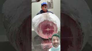 tuna sashimi satisfying food fish viral [upl. by Dirrej]