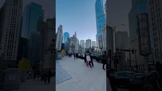 Chicago Downtown travelusa chicago trending chicagotravel viralshorts viralvideo usavlogs [upl. by Ocinemod]