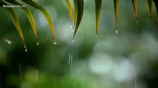 10 Hours of Relaxing Music Sleep Music with Rain Sound Piano Music for Stress Relief [upl. by Darell]