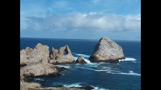 Farallon Islands Adventure walking tour [upl. by Nilak]