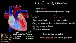 Le Cycle Cardiaque  Le Lub Dub dun Battement de Cœur [upl. by Hahsi]