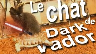 LE CHAT DE DARK VADOR  PAROLE DE CHAT [upl. by Eichman931]