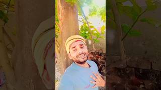 video Leke sinhorwa me khesarilalyadav 4K new bhojpuri song shotrs [upl. by Miun]